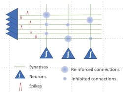 Spiking neural networks are time-oriented with “spikes.”